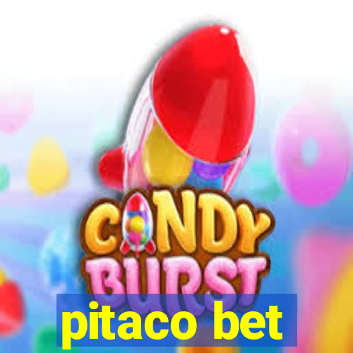 pitaco bet